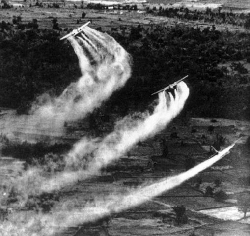 Those for Whom the War Lives On – A View on The Aftermath of Agent Orange